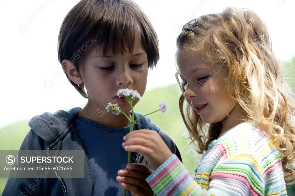 Children looking at wildflowers