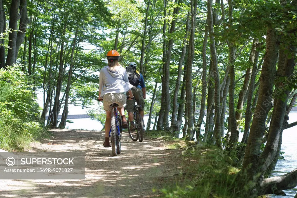Cyclists riding through woods, rear view