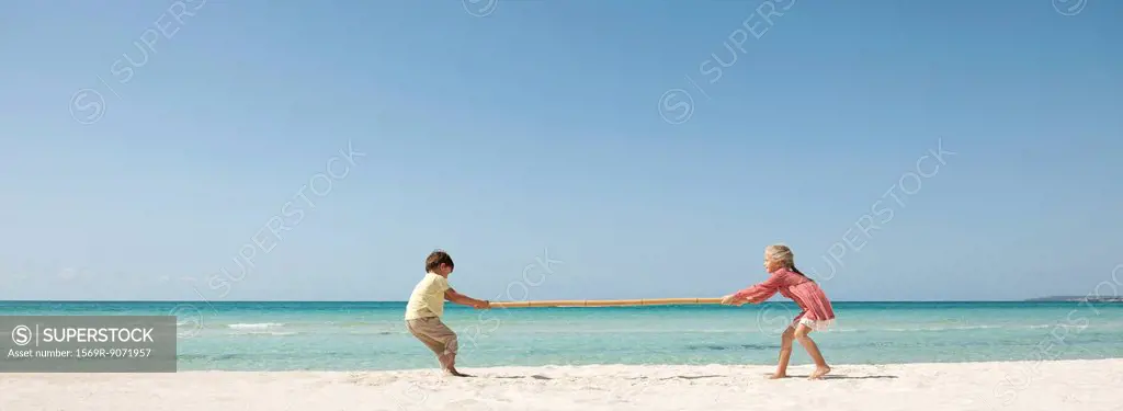 Children playing tug_of_war with bamboo at the beach