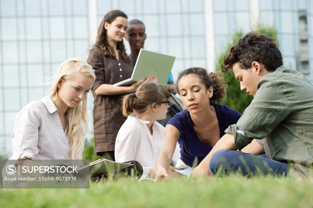 University students studying together outdoors, low angle view