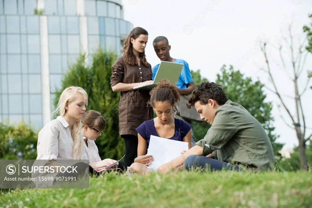 University students studying together outdoors