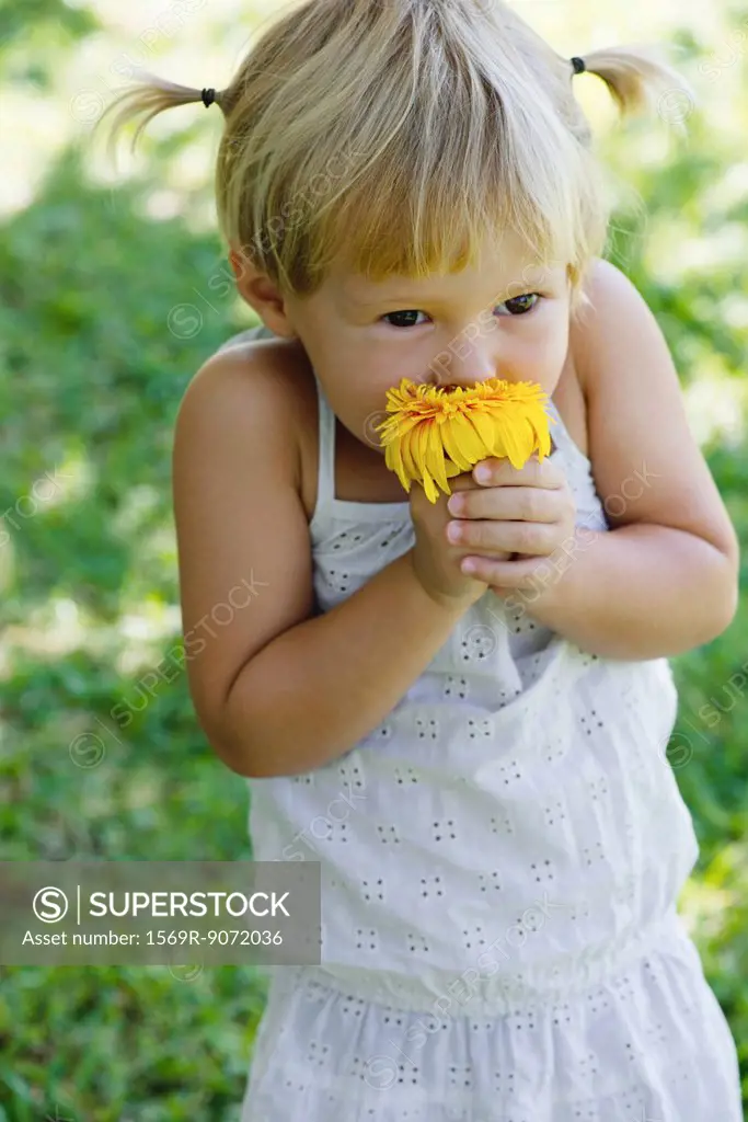 Little girl smelling fresh flower, portrait
