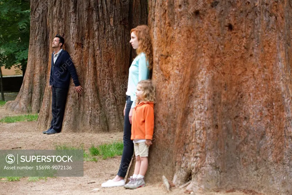 Father leaning against tree trunk in background, wife and daughter separate in foreground