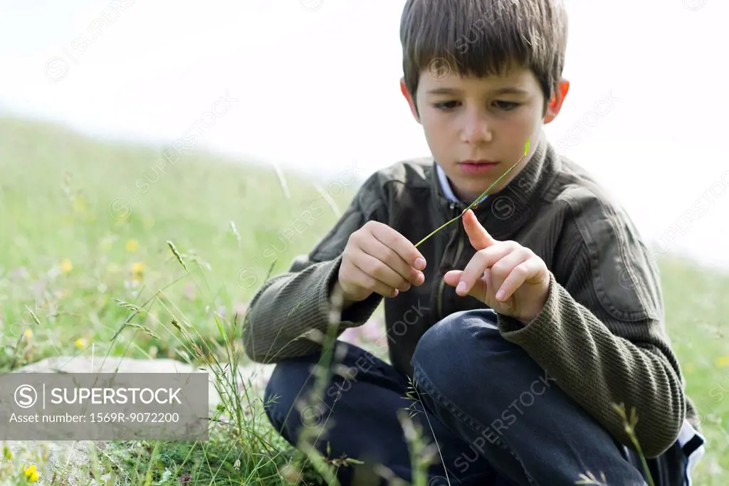 Boy looking at ladybug crawling on blade of grass