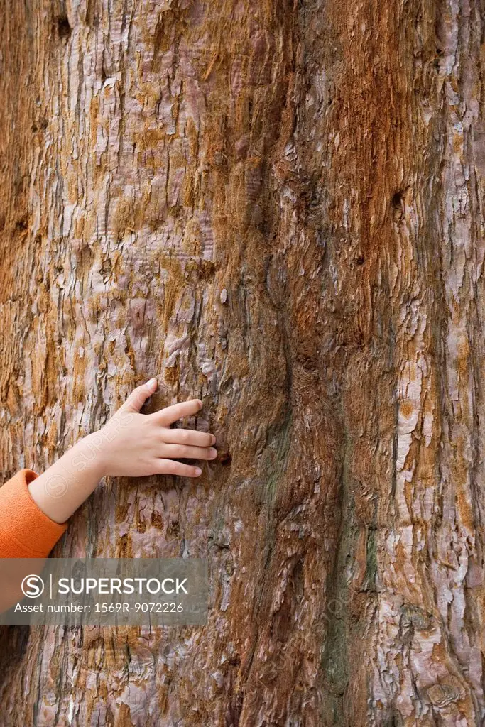 Girl touching tree bark, cropped, full frame