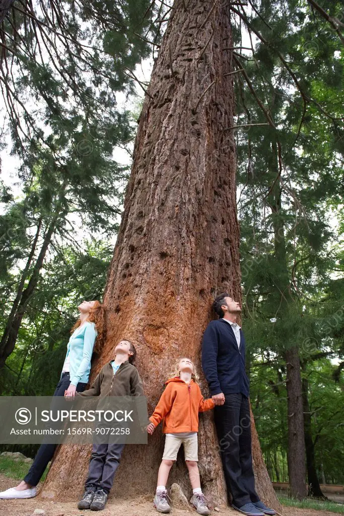 Family standing together at base of tall tree, holding hands