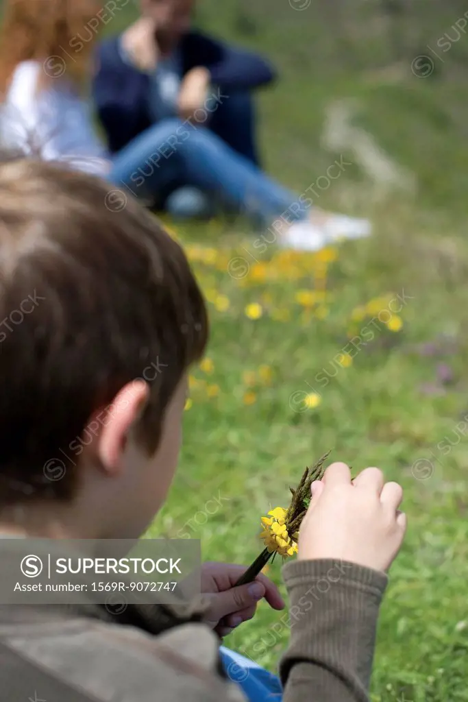 Boy playing with wildflowers, rear view