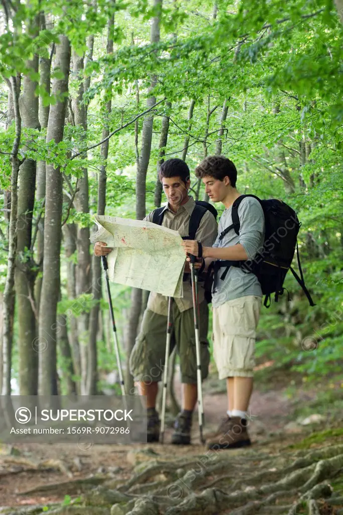 Hikers consulting map