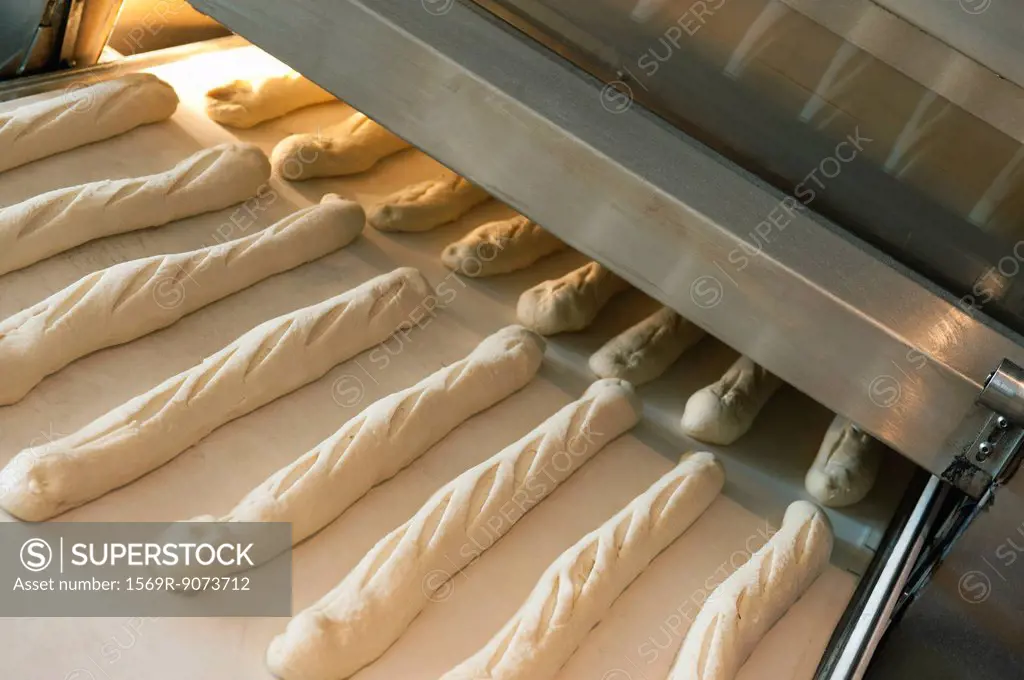 Baguette dough on conveyor belt