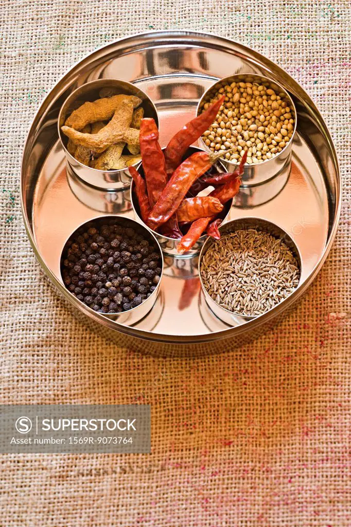 Ingredients for masala spice
