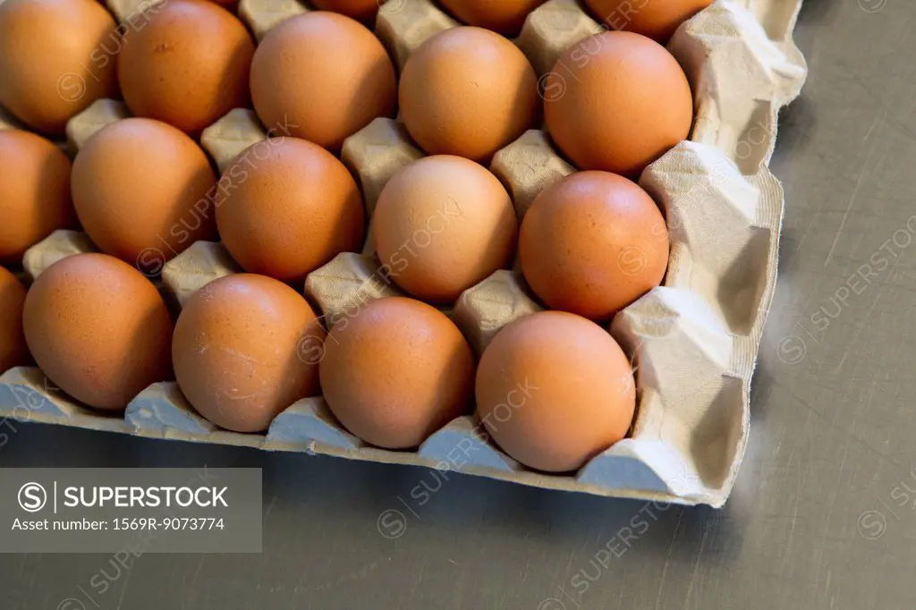 Fresh eggs in carton