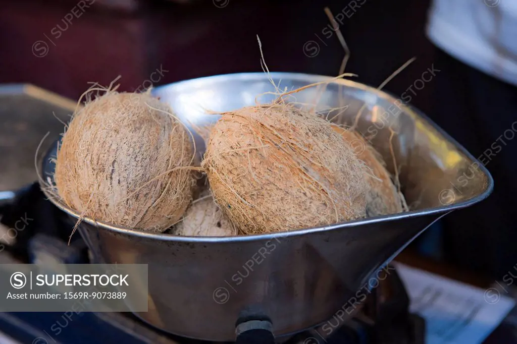 Coconuts in metal container