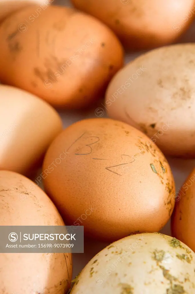 Fresh eggs, full frame