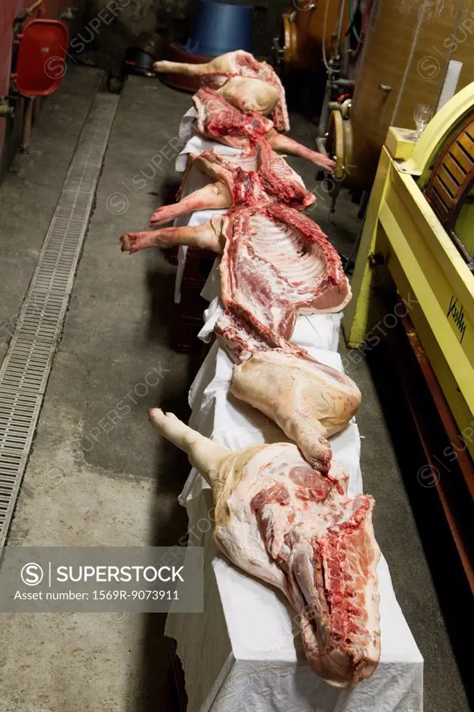 Pork legs in slaughterhouse