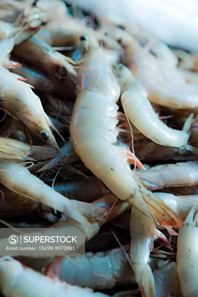 Heap of raw shrimps