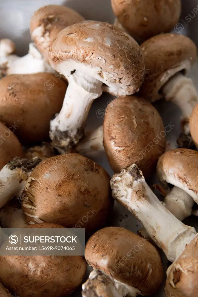 Heap of mushrooms