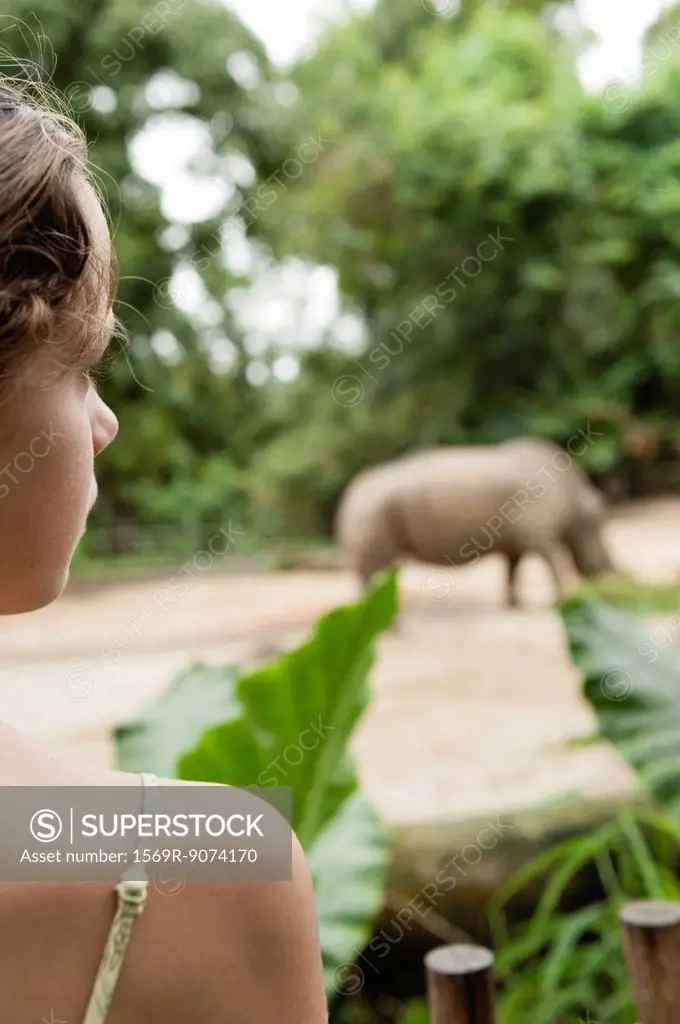 Girl watching animal at zoo, rear view