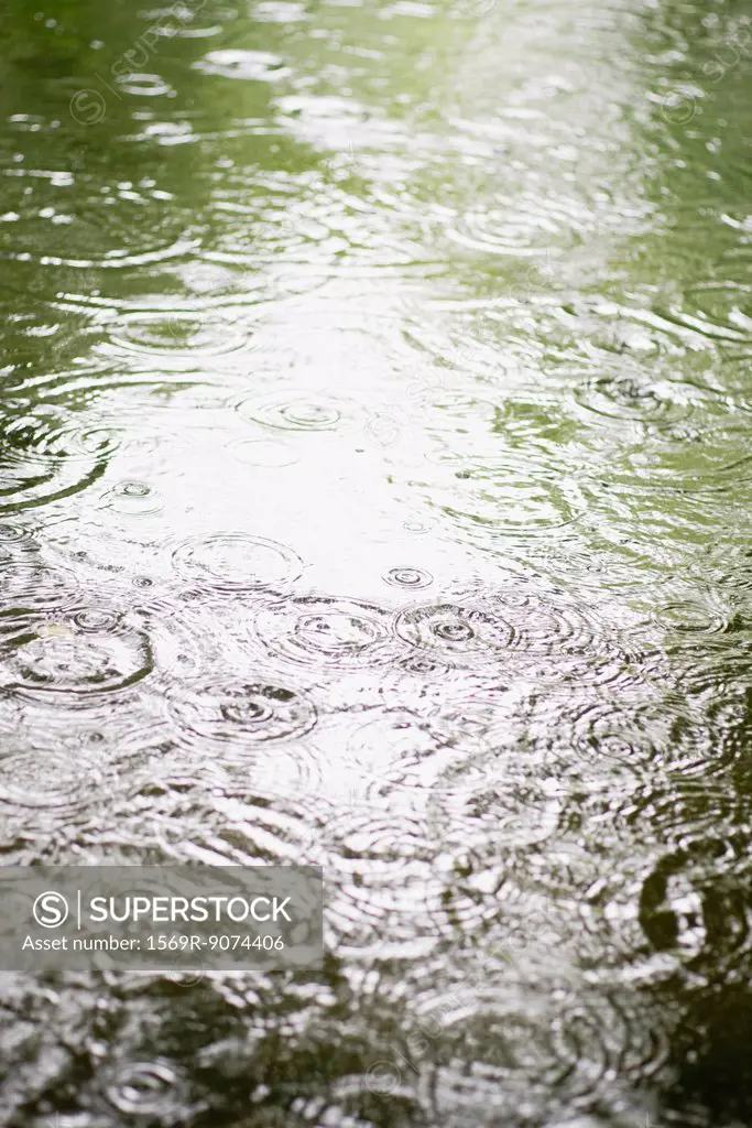 Raindrops on surface of water