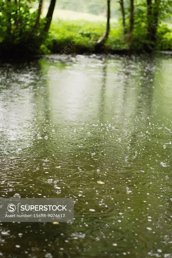 Raindrops on pond