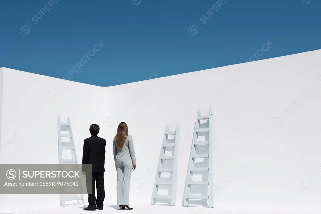Professionals contemplating ladders, rear view