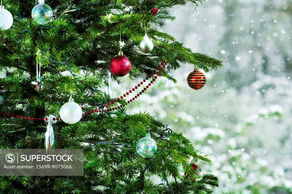 Christmas tree, close_up