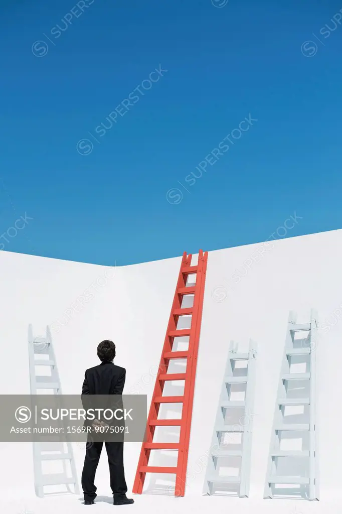Businessman contemplating ladders, rear view