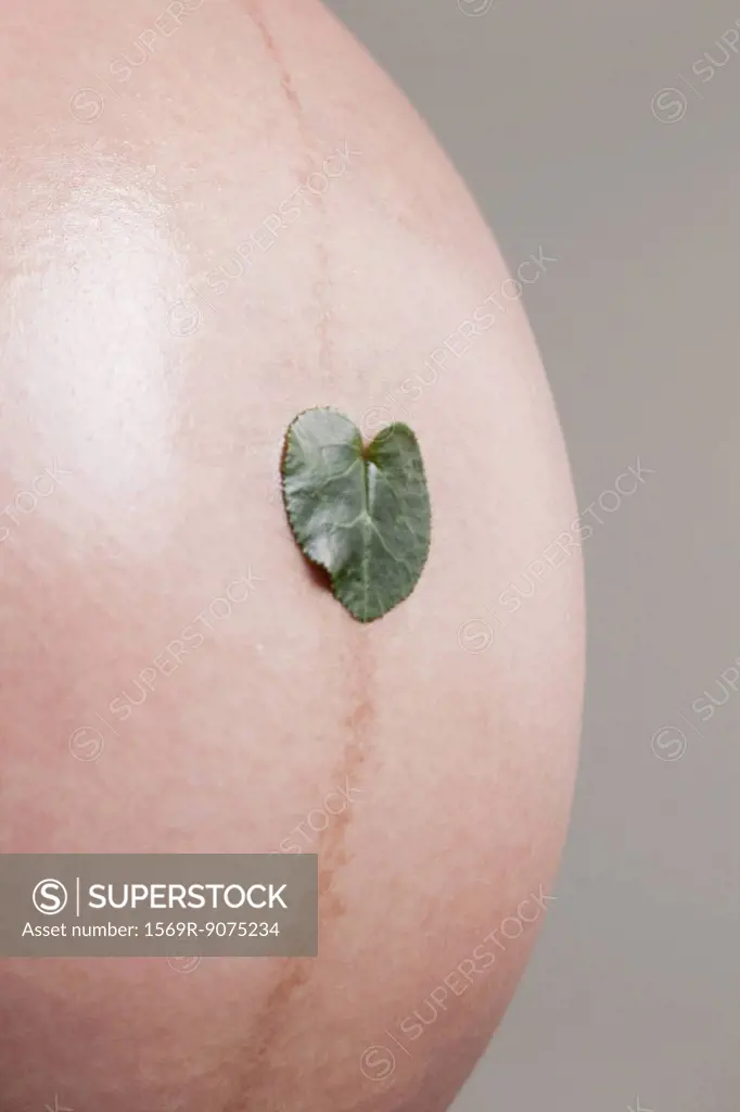 Heart shaped leaf on pregnant woman´s belly