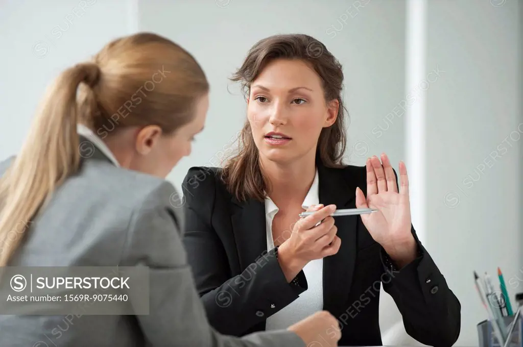 Businesswoman meeting with client