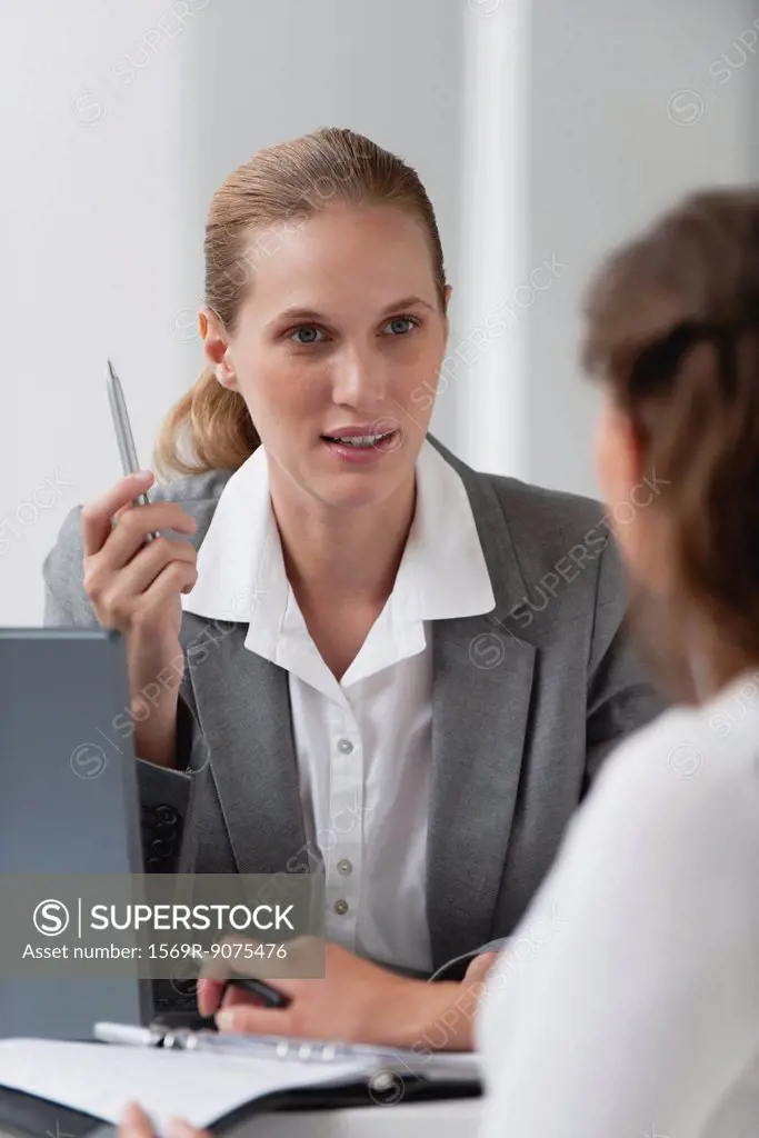 Businesswoman advising client
