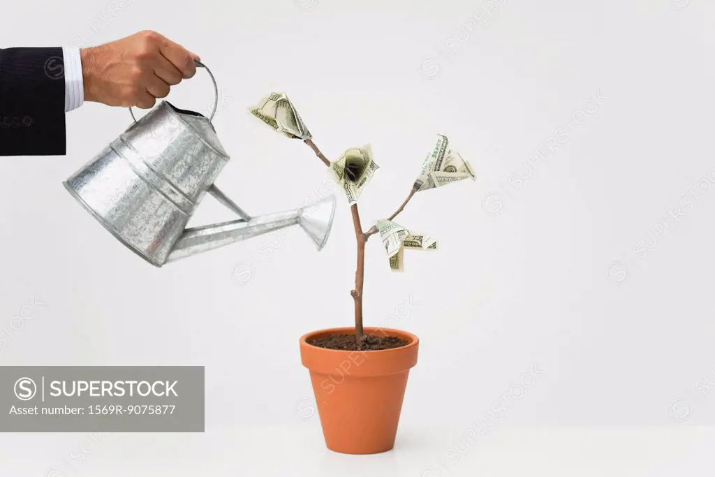 Businessman watering potted money tree, cropped