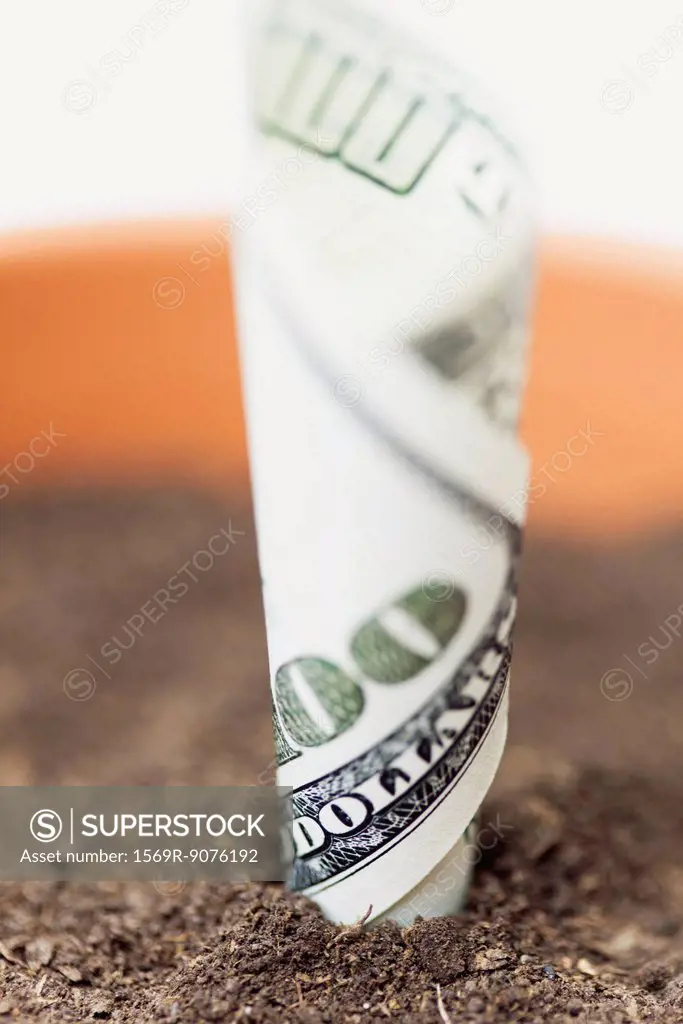 One_hundred dollar bill planted in flower pot, close_up