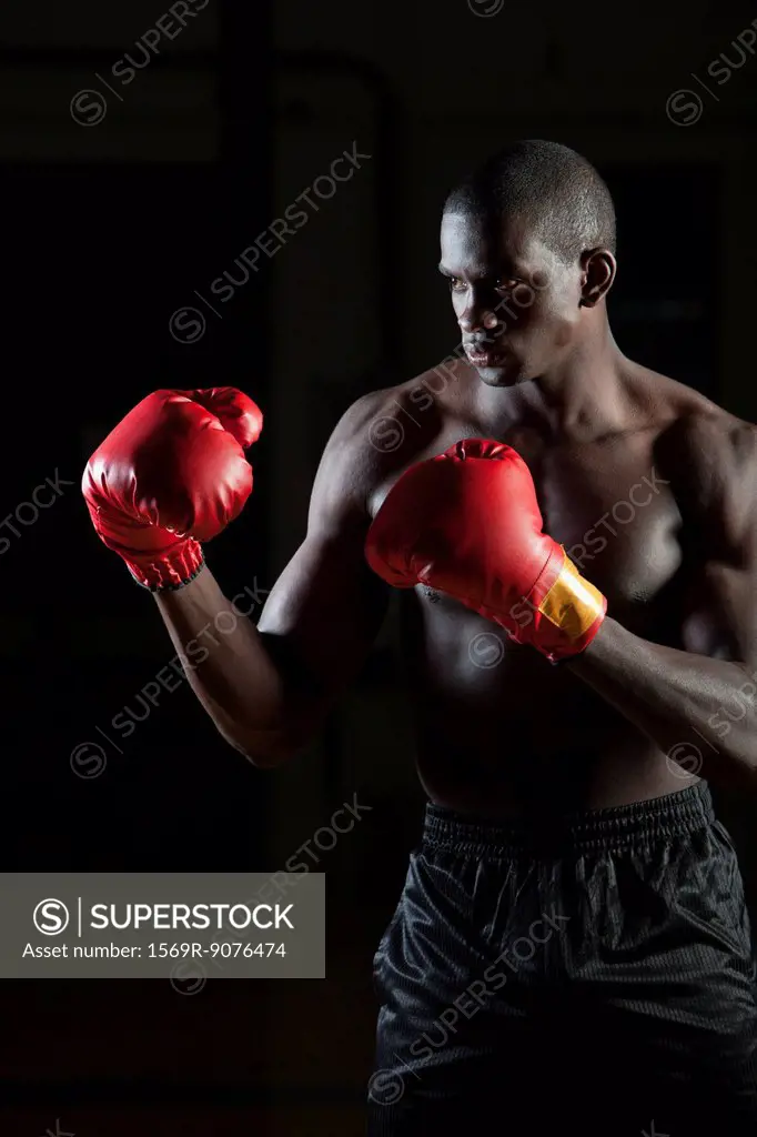 Boxer wearing boxing gloves in fighting stance, portrait