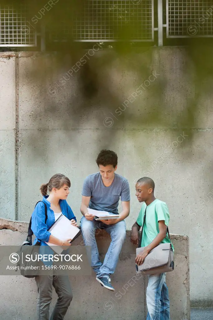Friends discussing homework together