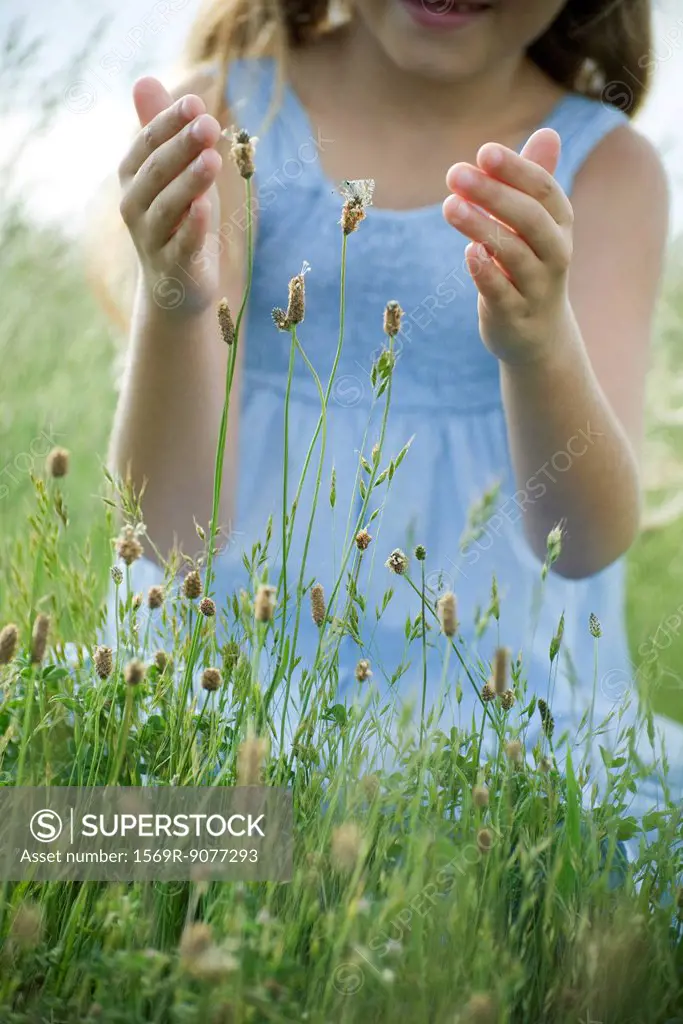 Butterfly on wildflower, girl with cupped hands attempting to catch