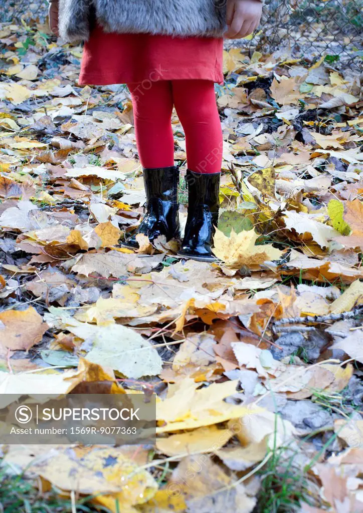 Girl standing on autumn leaves, low section