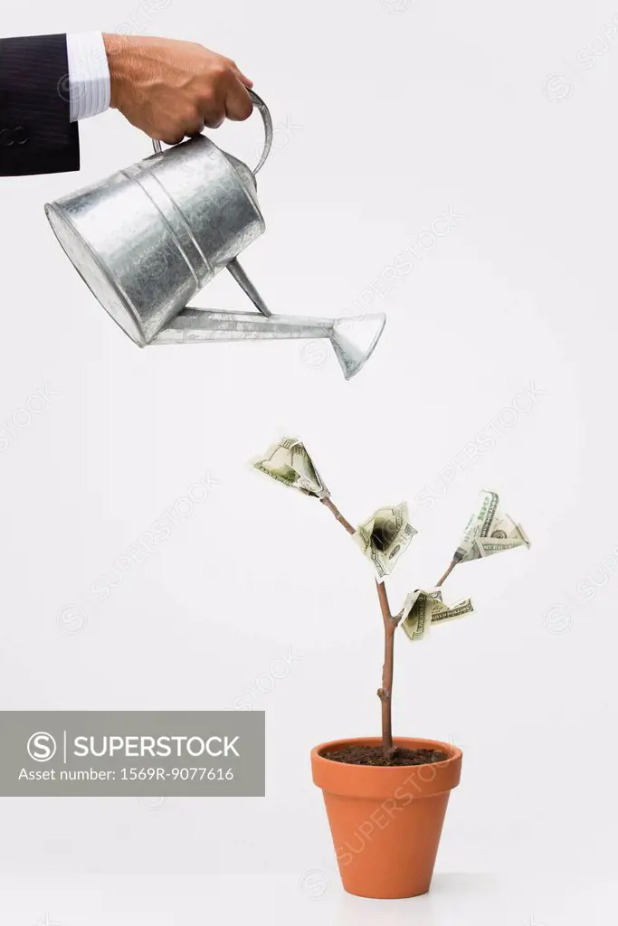 Businessman watering money tree, cropped