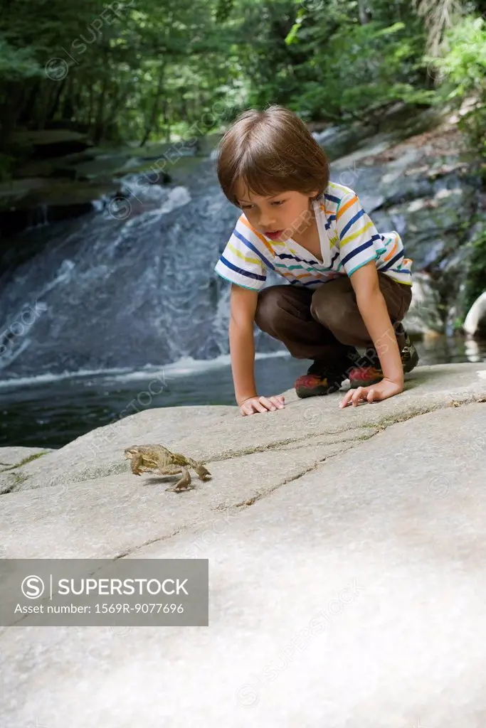 Boy crouching on rock looking at frog jump