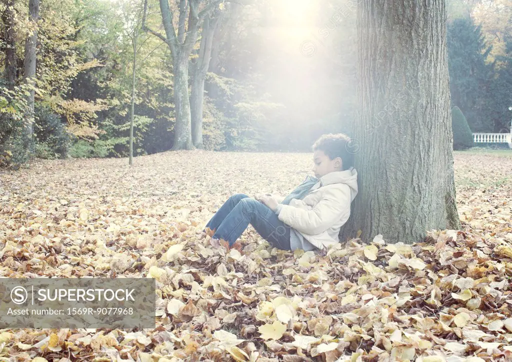 Boy sitting under tree in autumn leaves, portrait