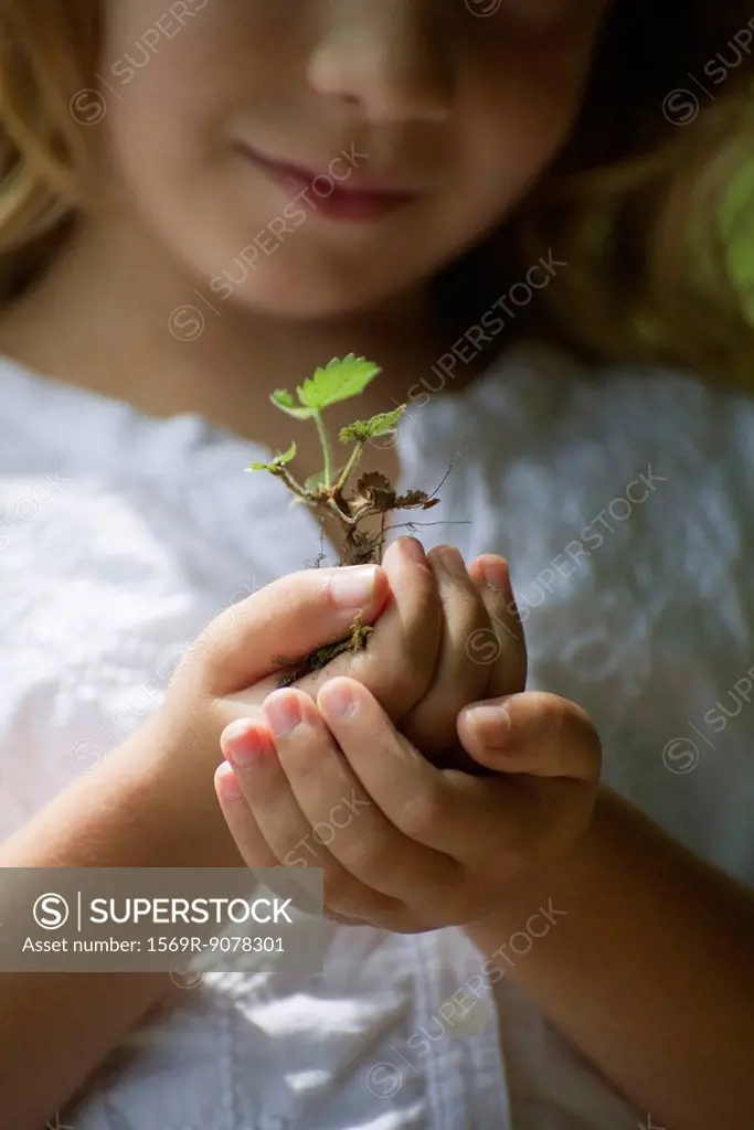 Girl holding seedling, cropped