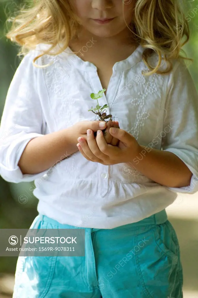 Girl holding seedling