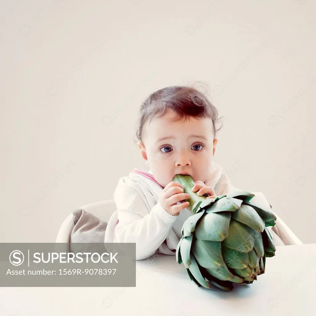 Infant biting fresh artichoke