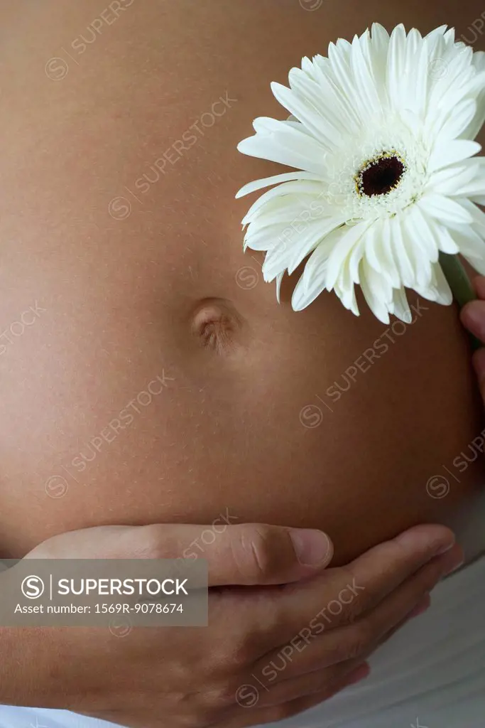 Woman holding flower beside pregnant belly, cropped