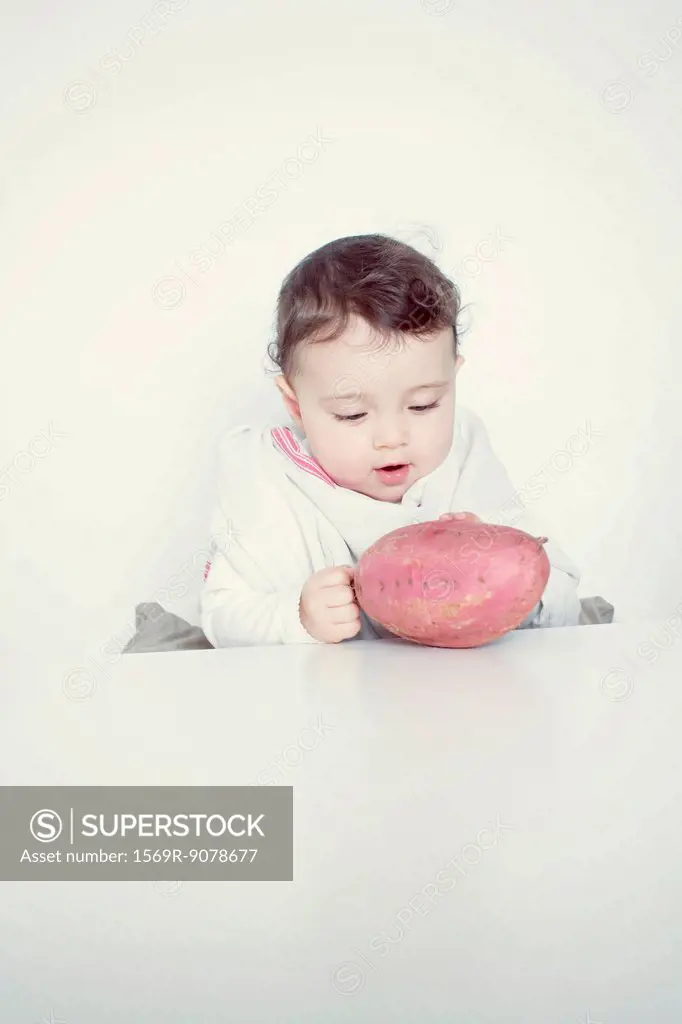 Infant staring at sweet potato, portrait