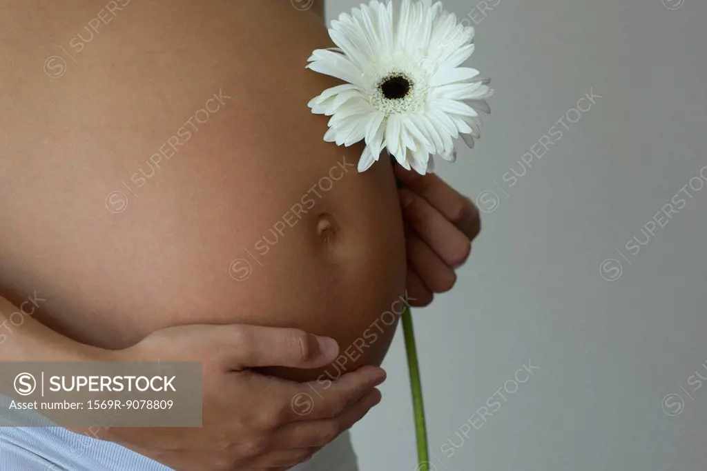 Woman holding flower beside pregnant belly, cropped