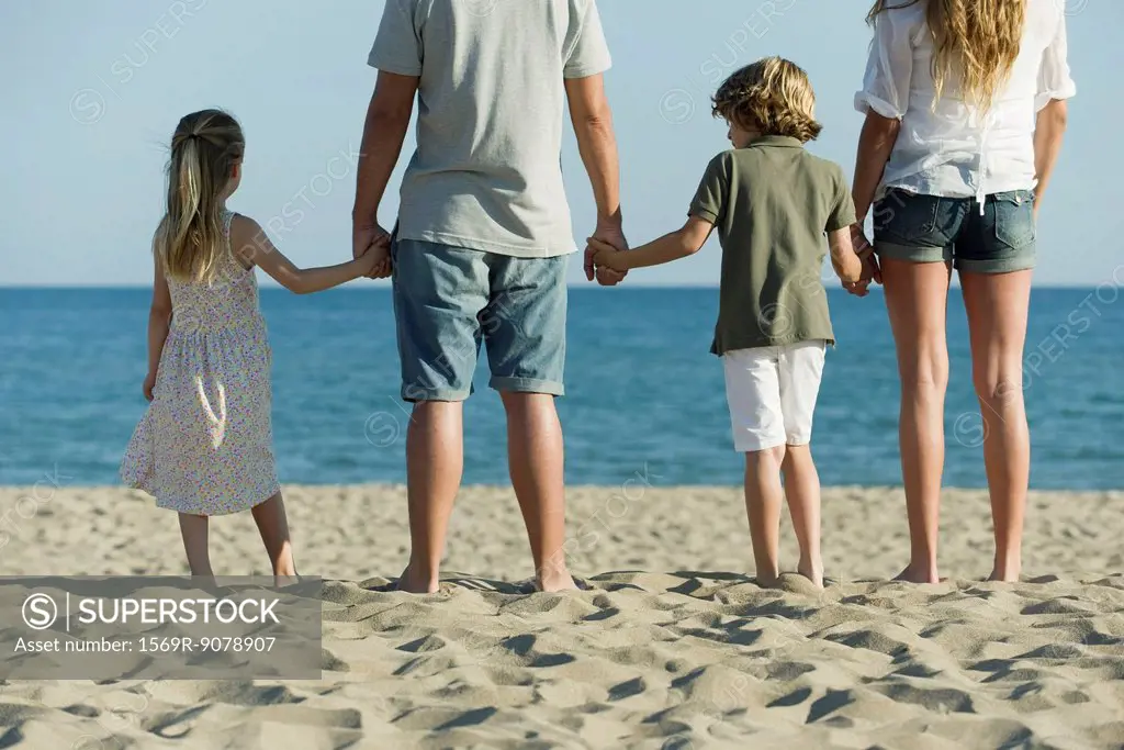 Family holding hands at the beach, rear view
