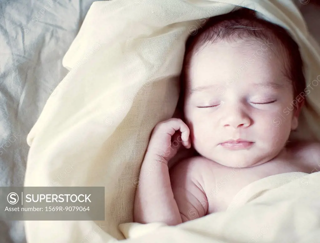 New born baby wrapped in blanket, portrait
