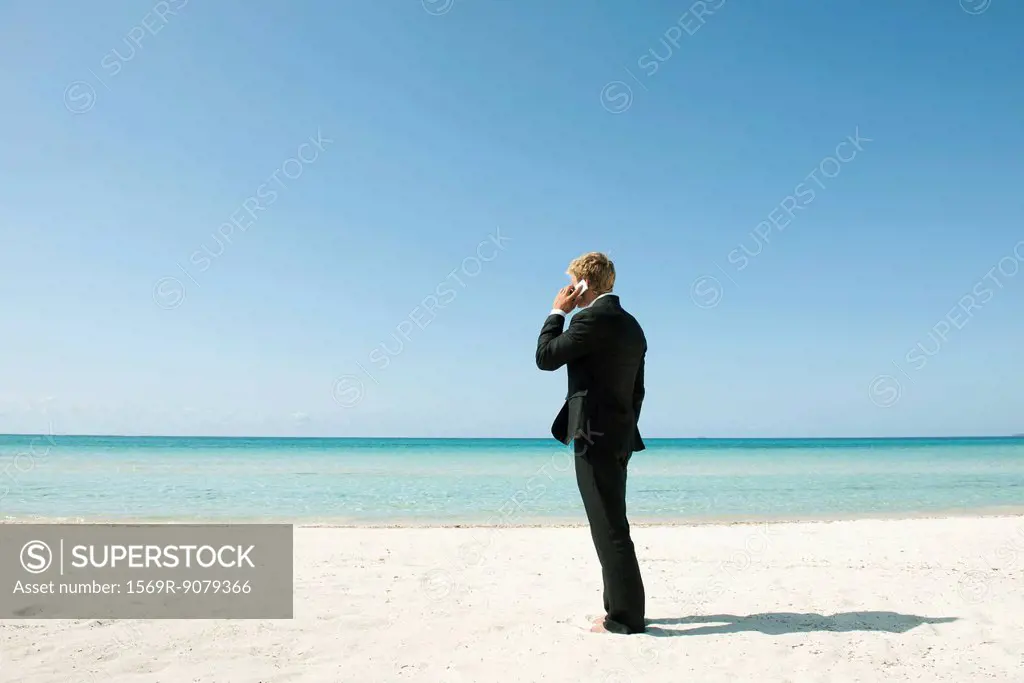 Businessman talking on cell phone while standing on beach, rear view
