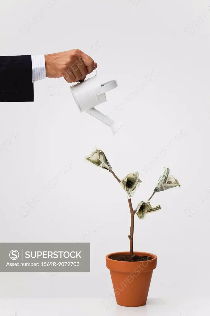 Businessman watering potted tree with hundred dollar bills growing on it