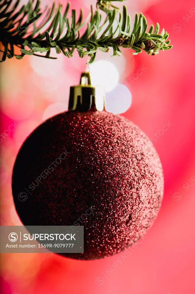 Christmas bauble hanging on branch