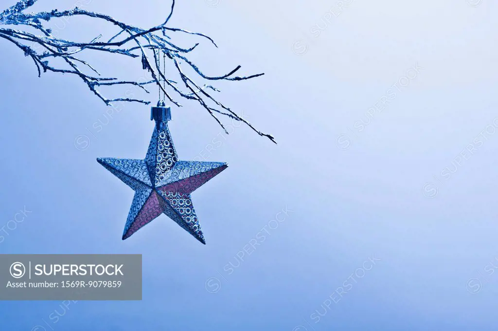Star_shaped Christmas ornament hanging from branch